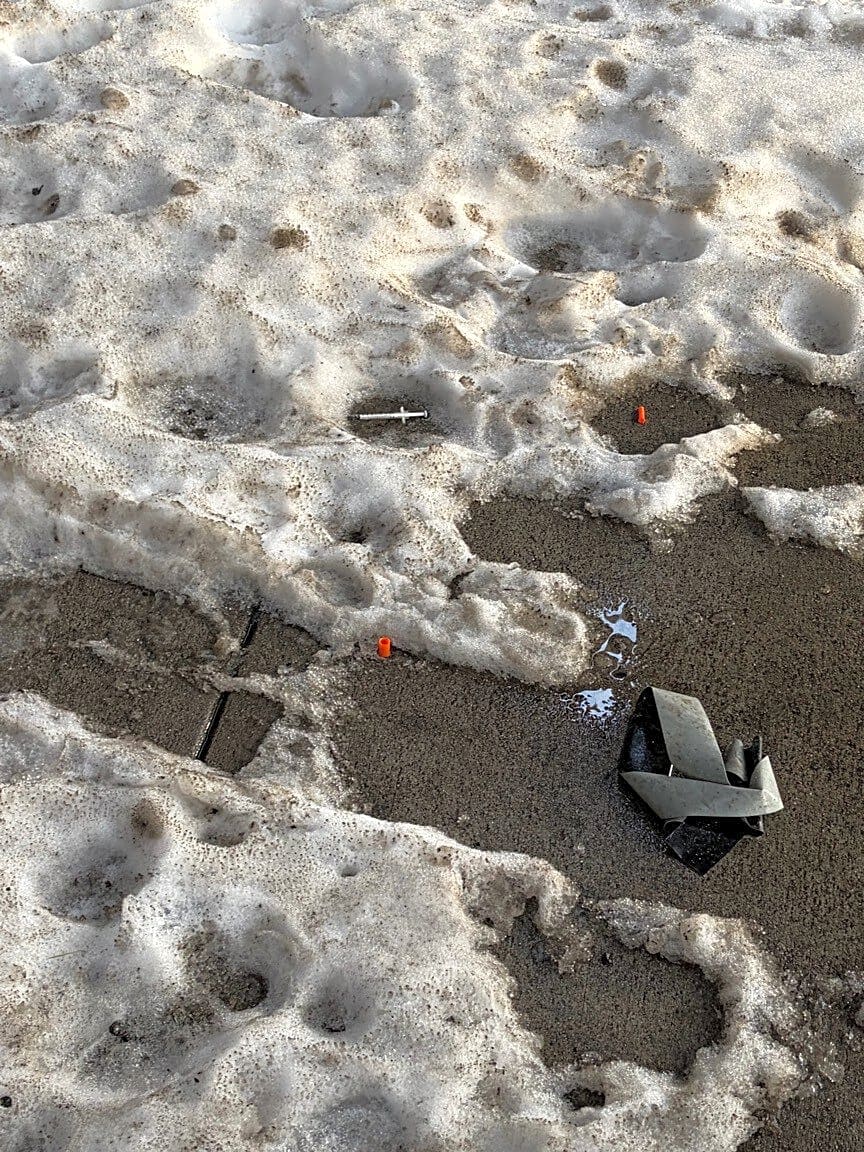 Image submitted with report