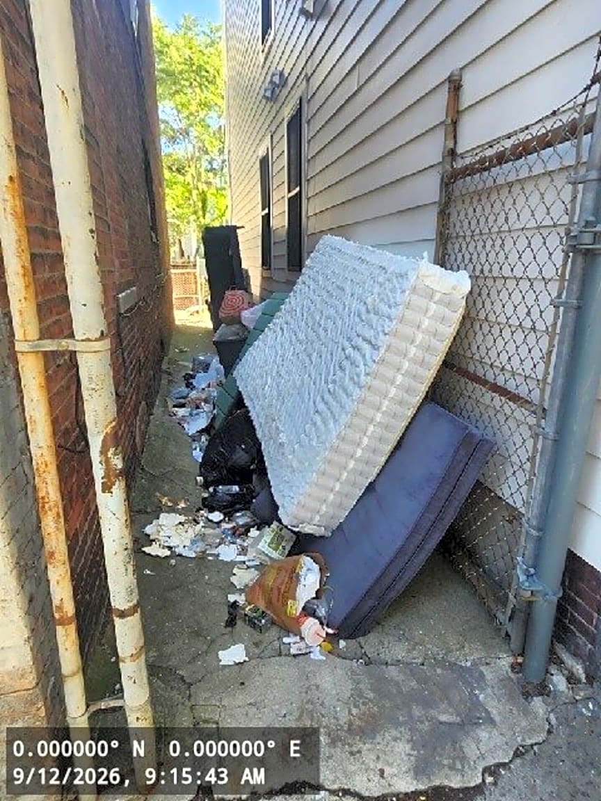 Image submitted with report
