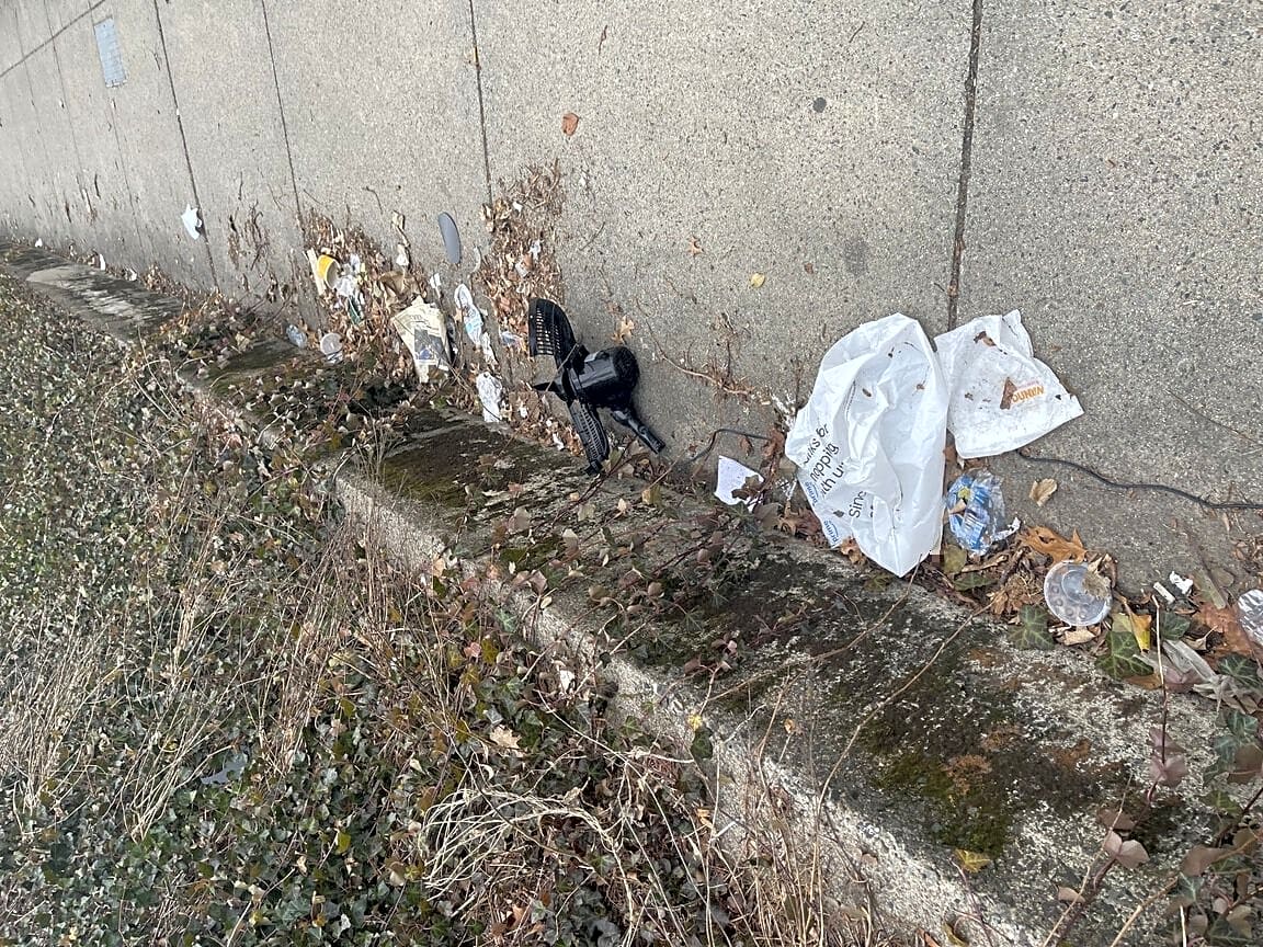 Image submitted with report