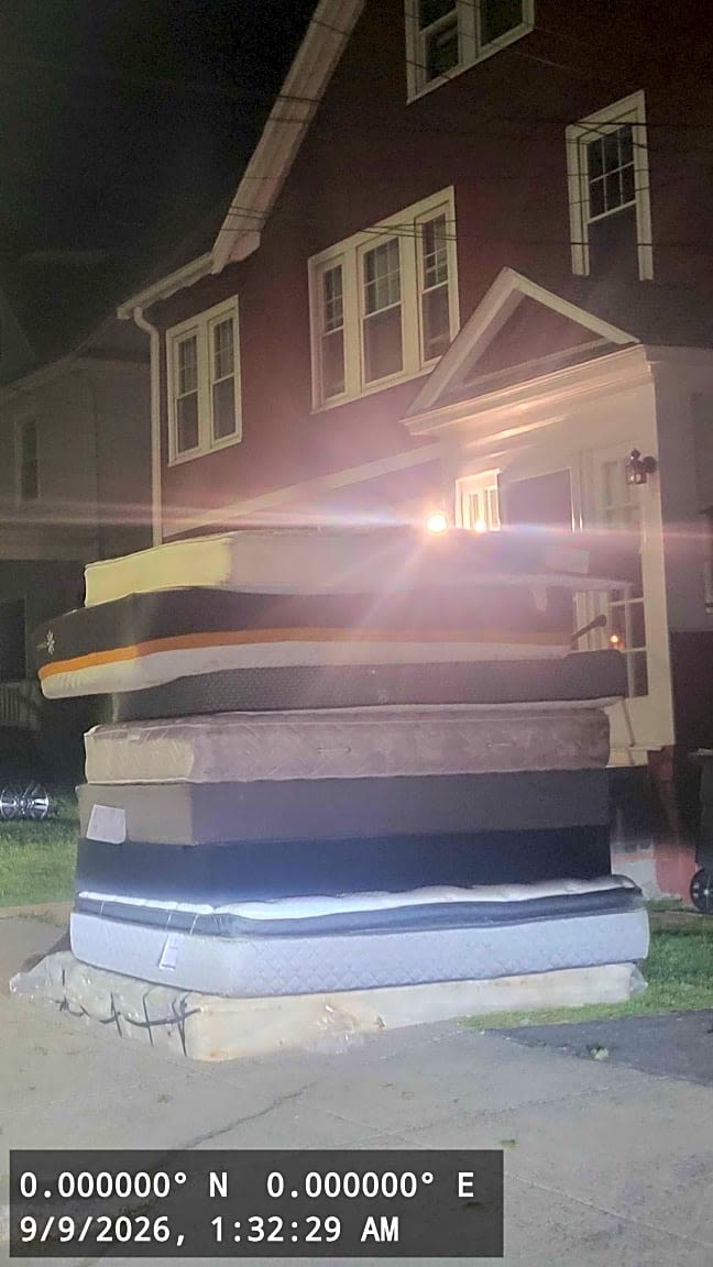 Image submitted with report