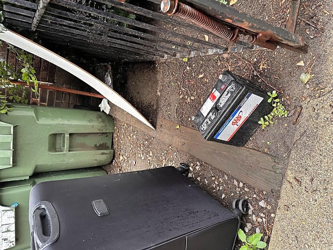 Image submitted with report