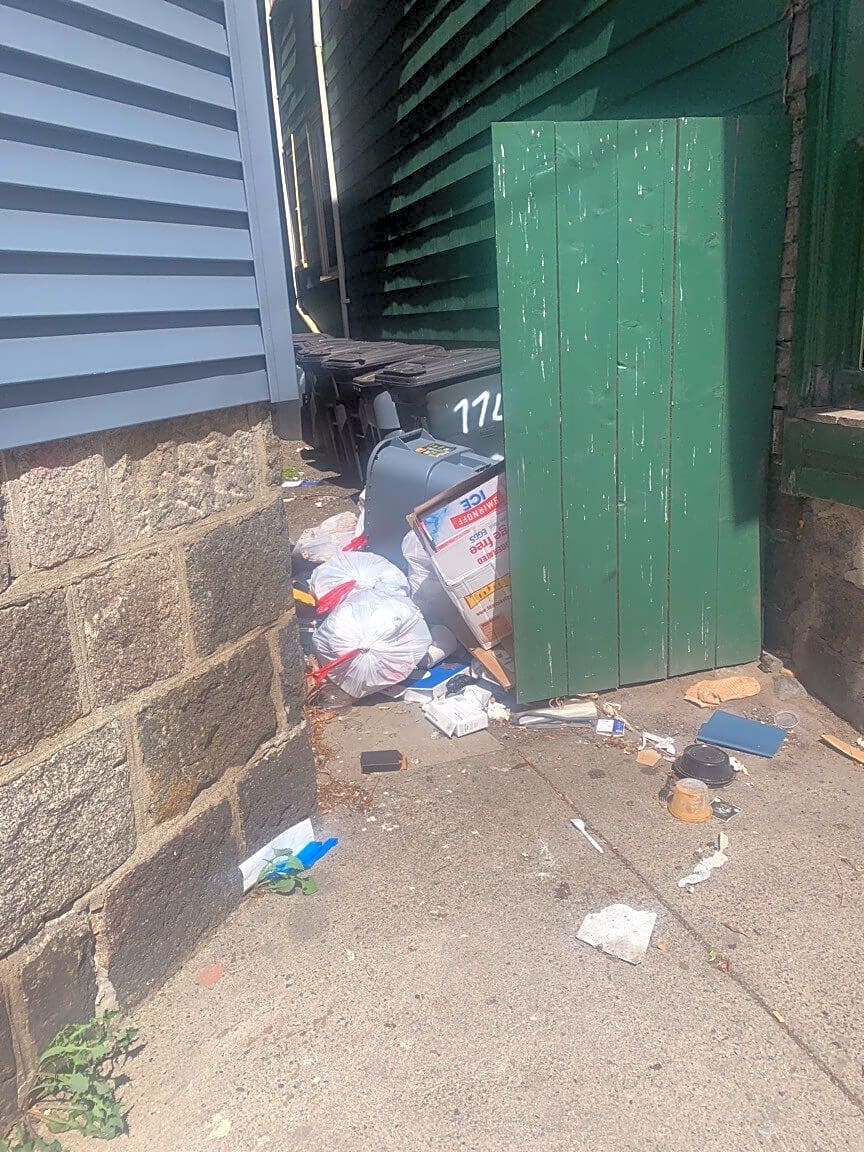 Image submitted with report