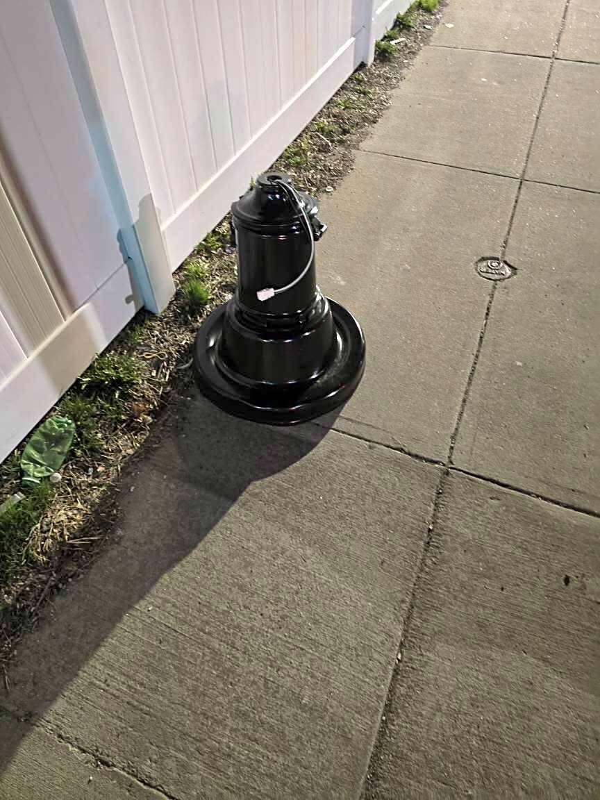 Image submitted with report