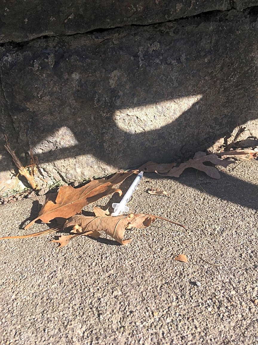 Image submitted with report