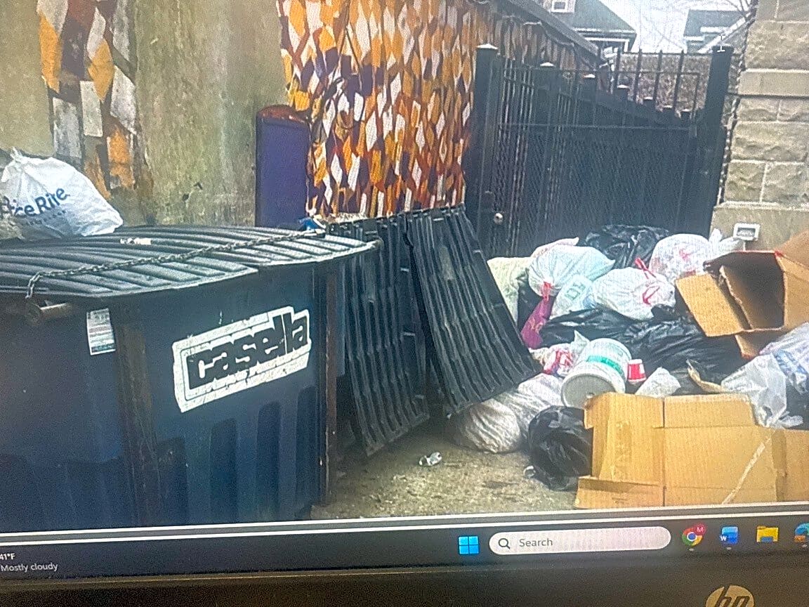 Image submitted with report