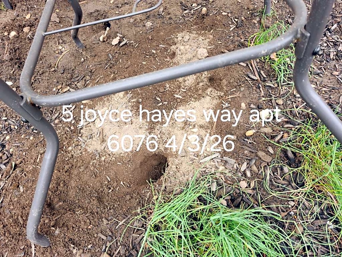 Image submitted with report