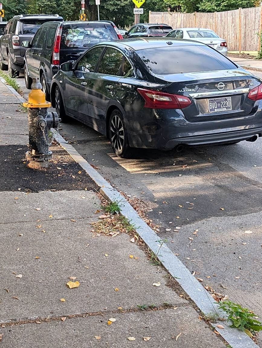 Image submitted with report