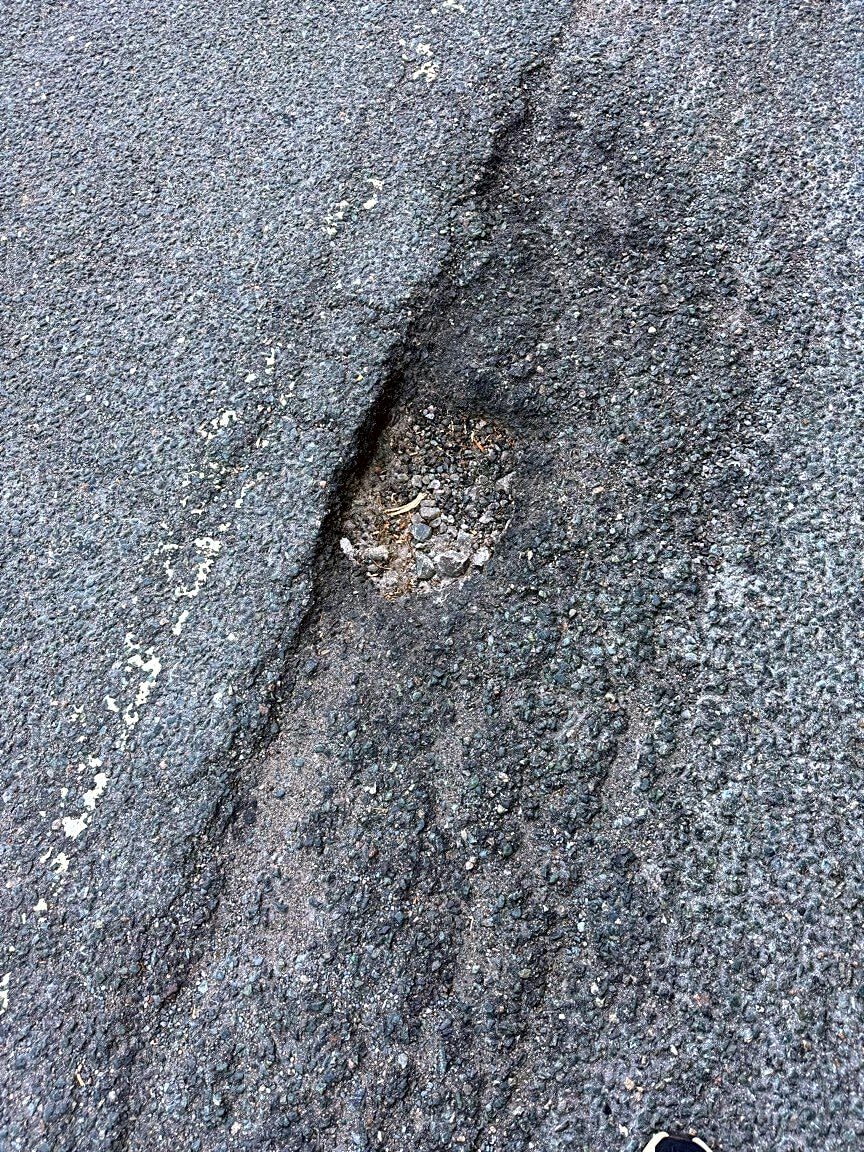 Image submitted with report