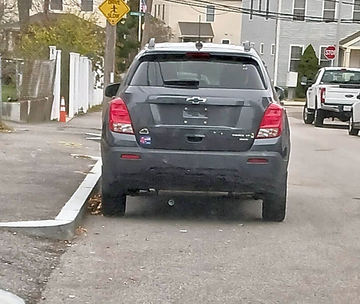 Image submitted with report