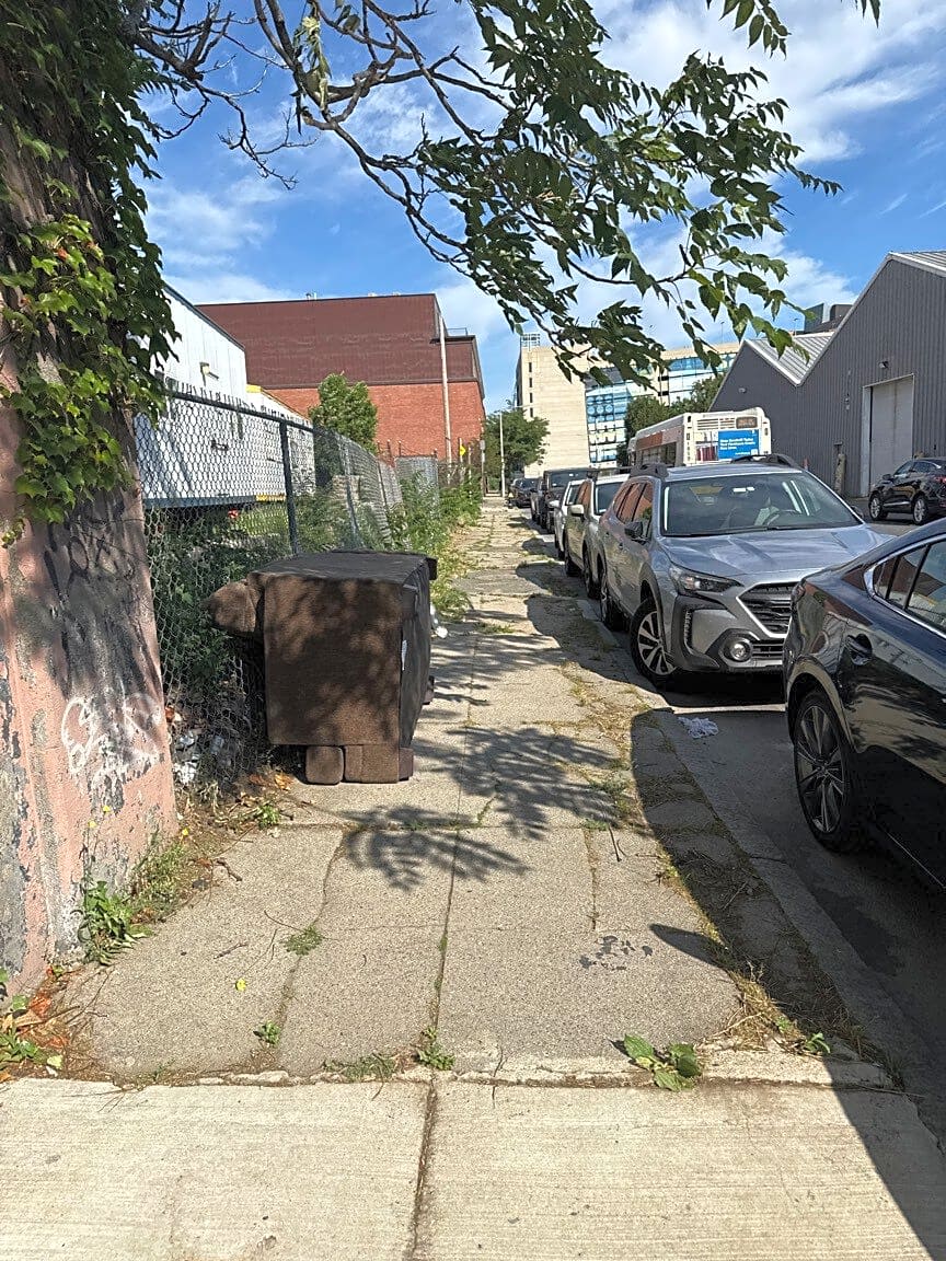 Image submitted with report