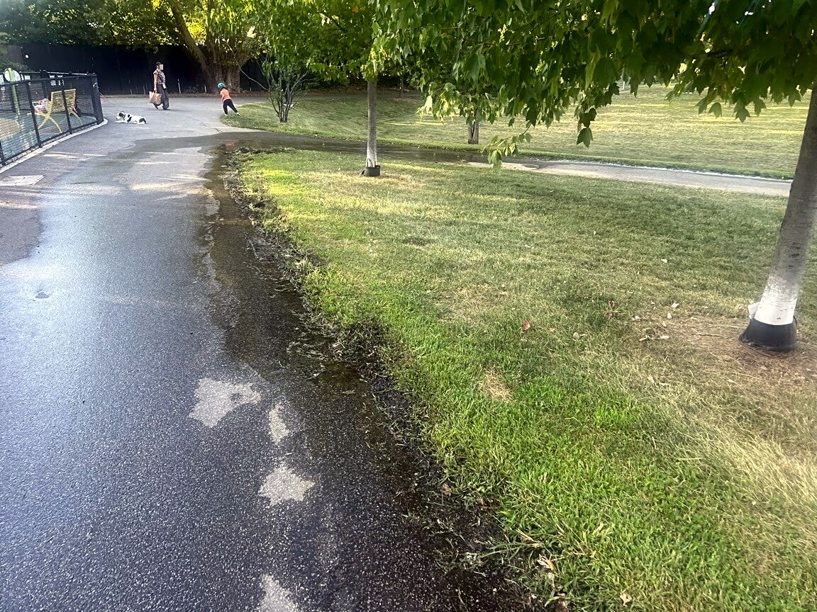 Image submitted with report