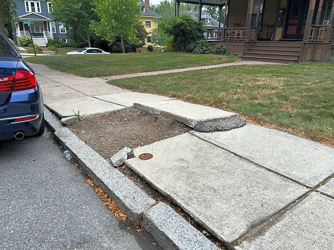 Image submitted with report