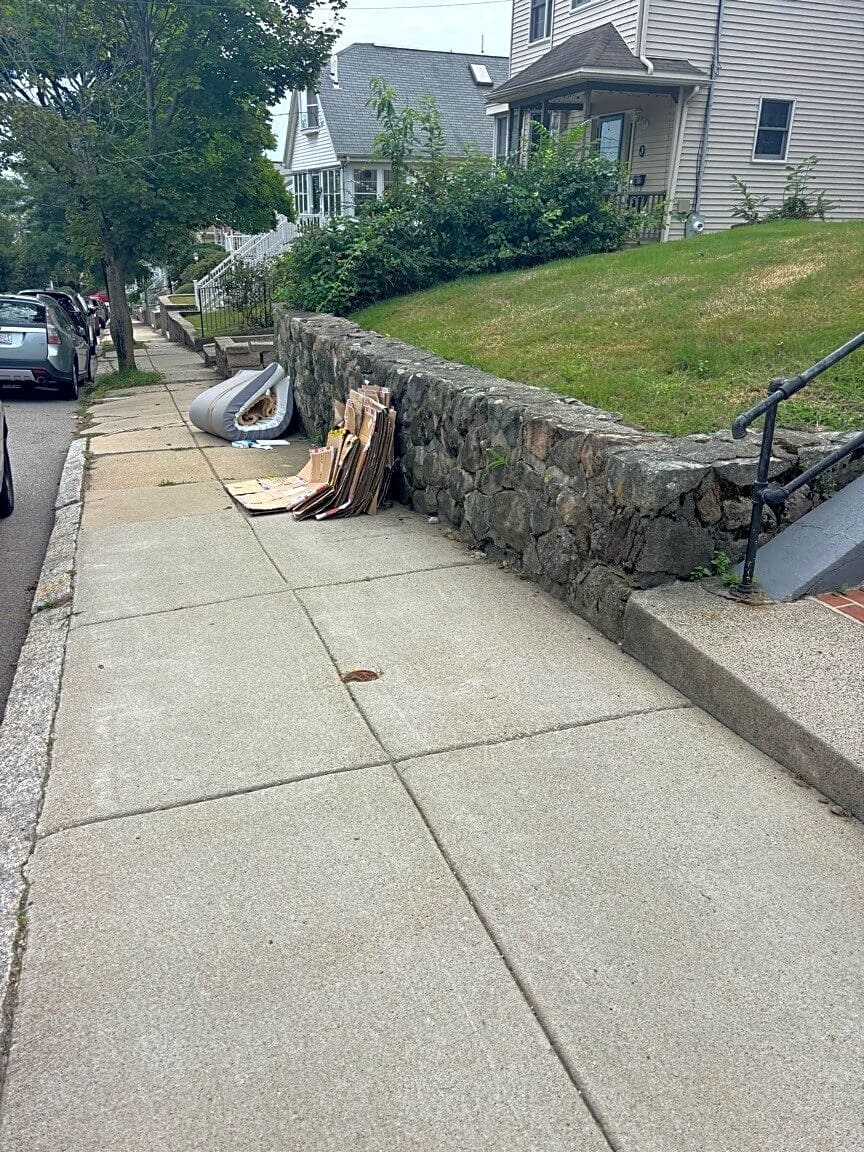 Image submitted with report