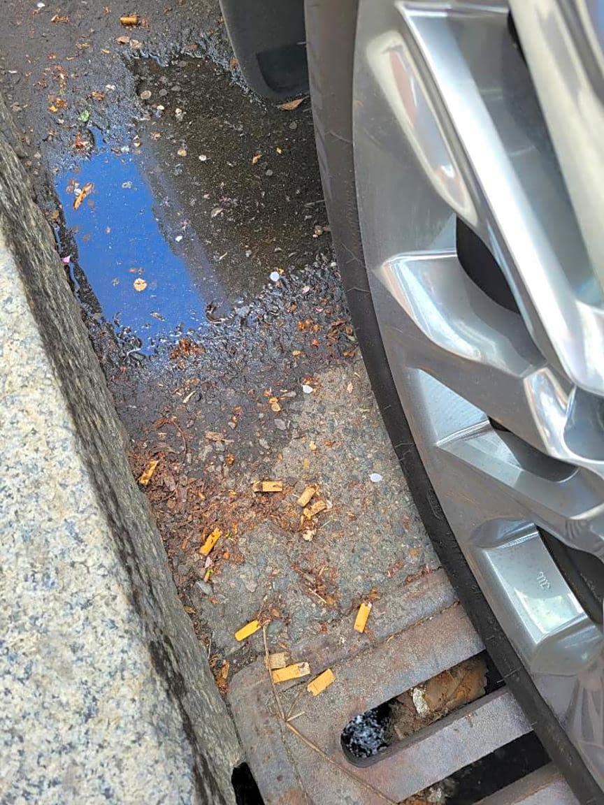 Image submitted with report