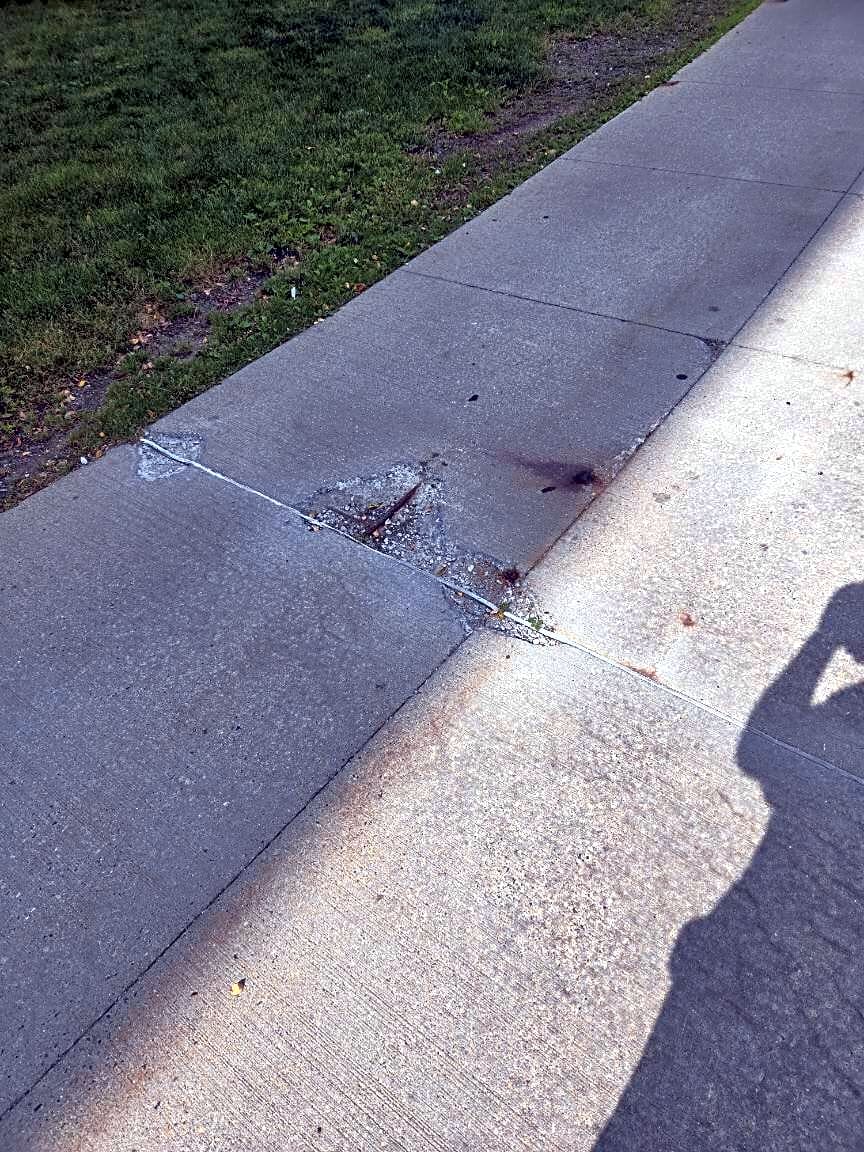 Image submitted with report