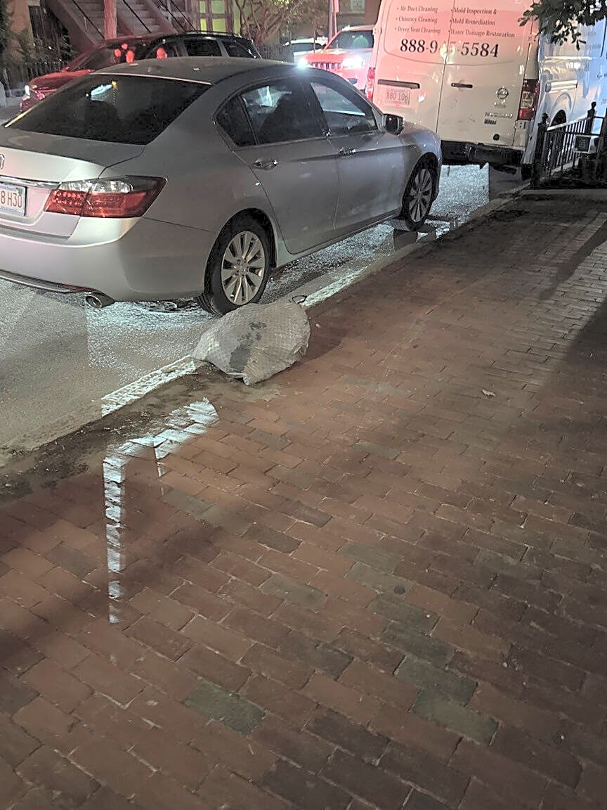 Image submitted with report