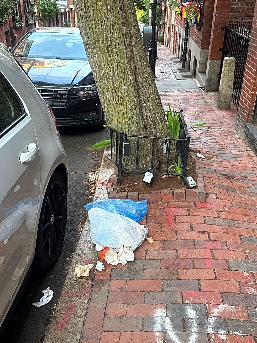 Image submitted with report
