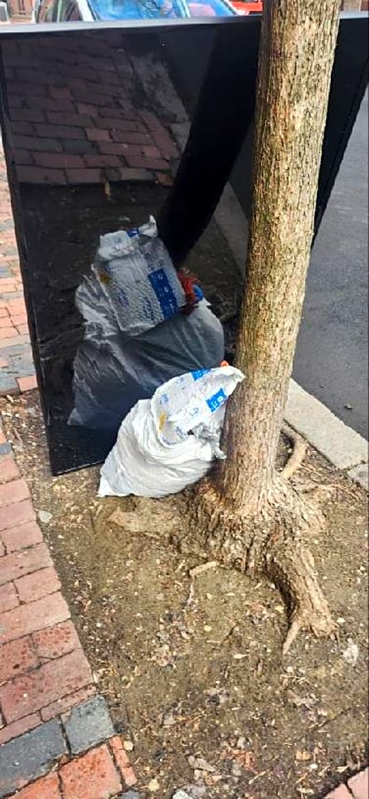 Image submitted with report