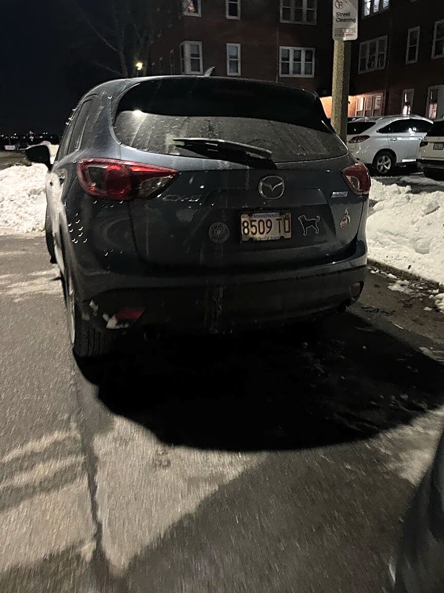 Image submitted with report