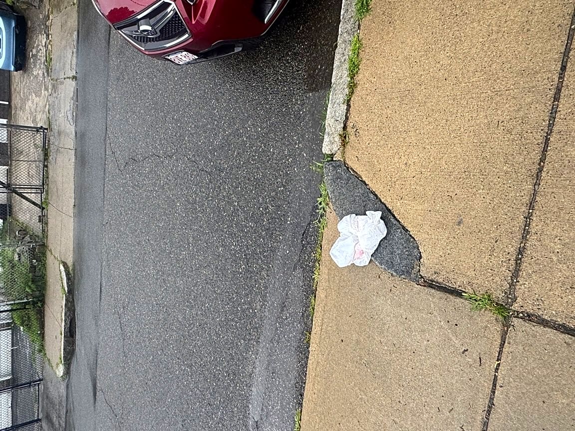 Image submitted with report