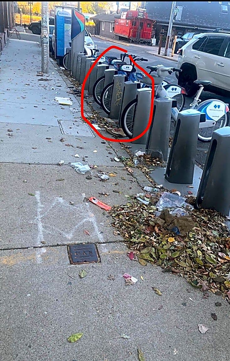 Image submitted with report