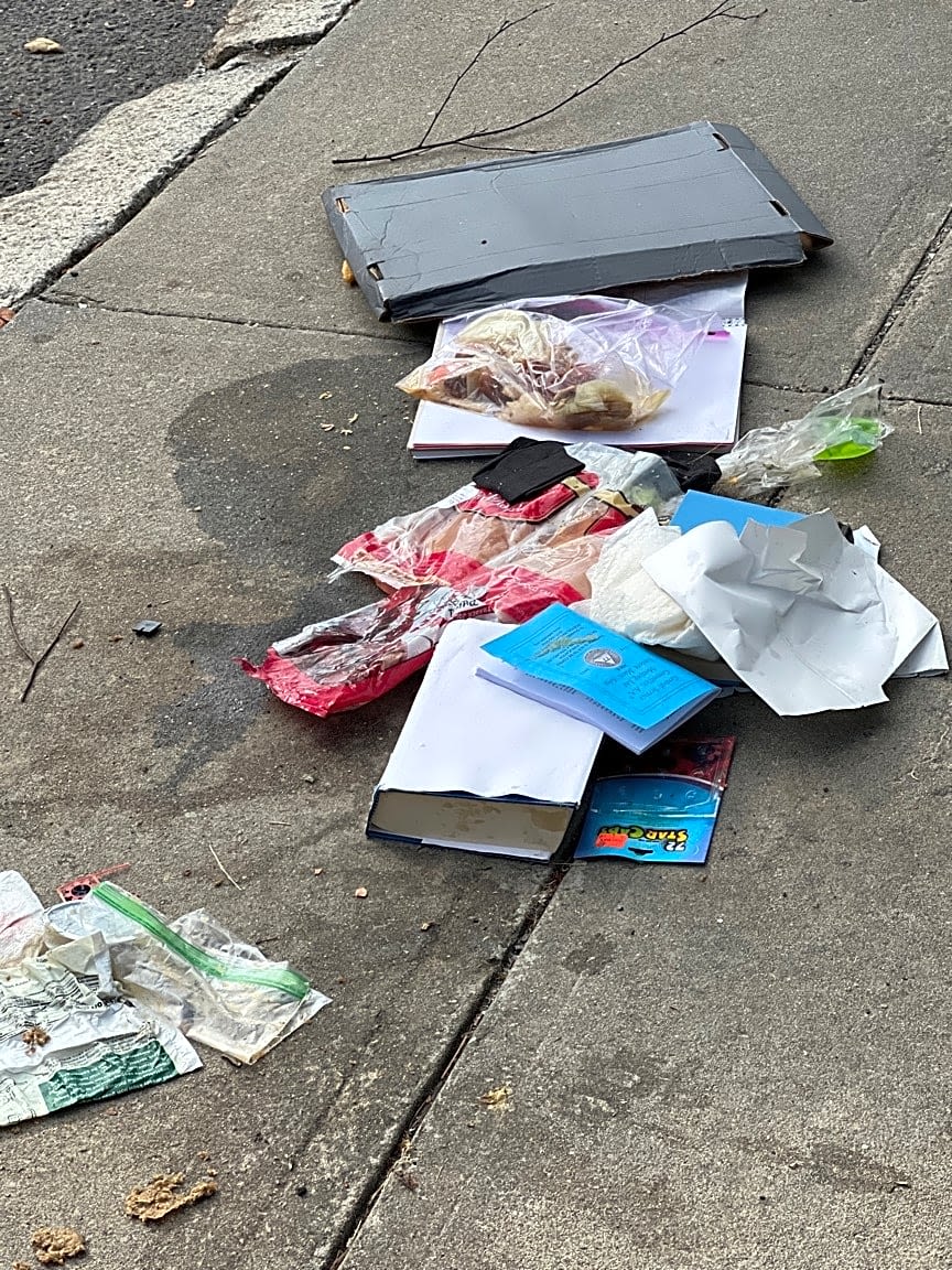 Image submitted with report