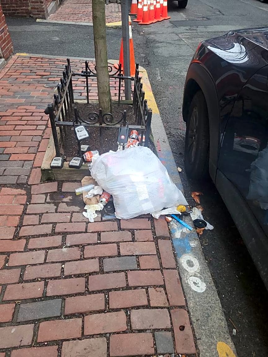 Image submitted with report