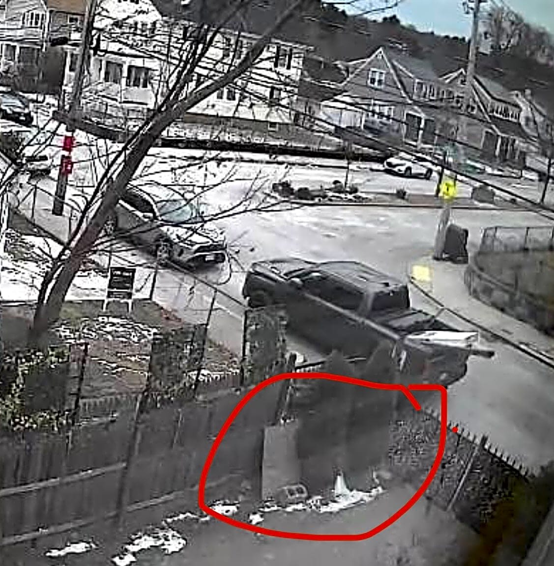 Image submitted with report