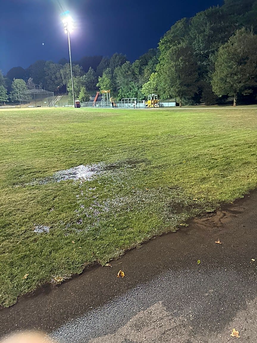 Image submitted with report