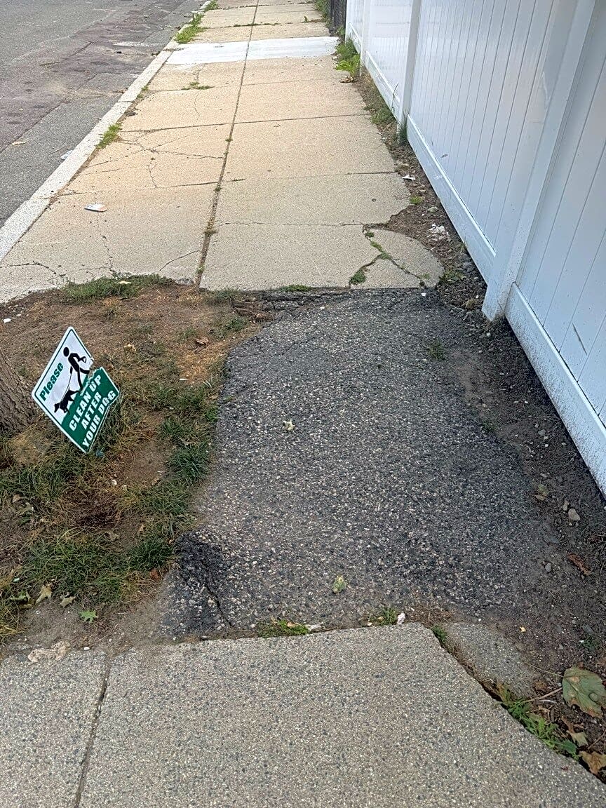 Image submitted with report