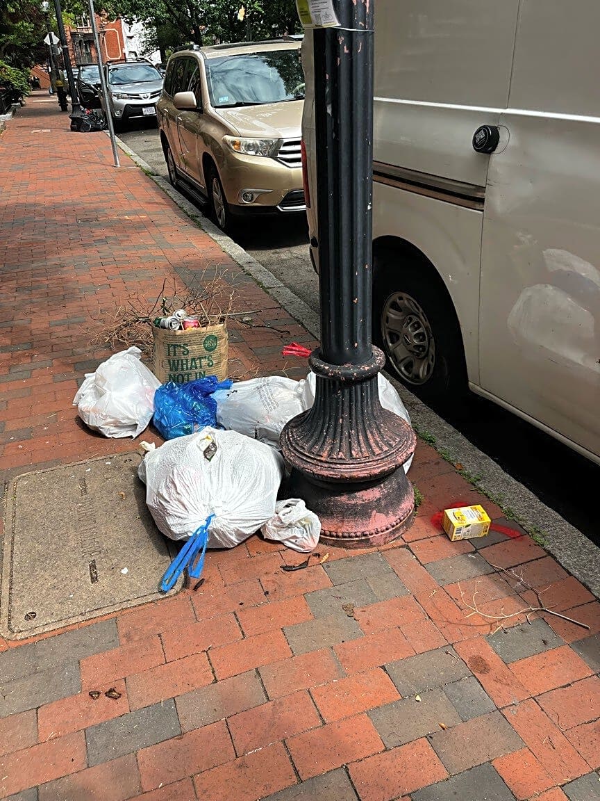 Image submitted with report