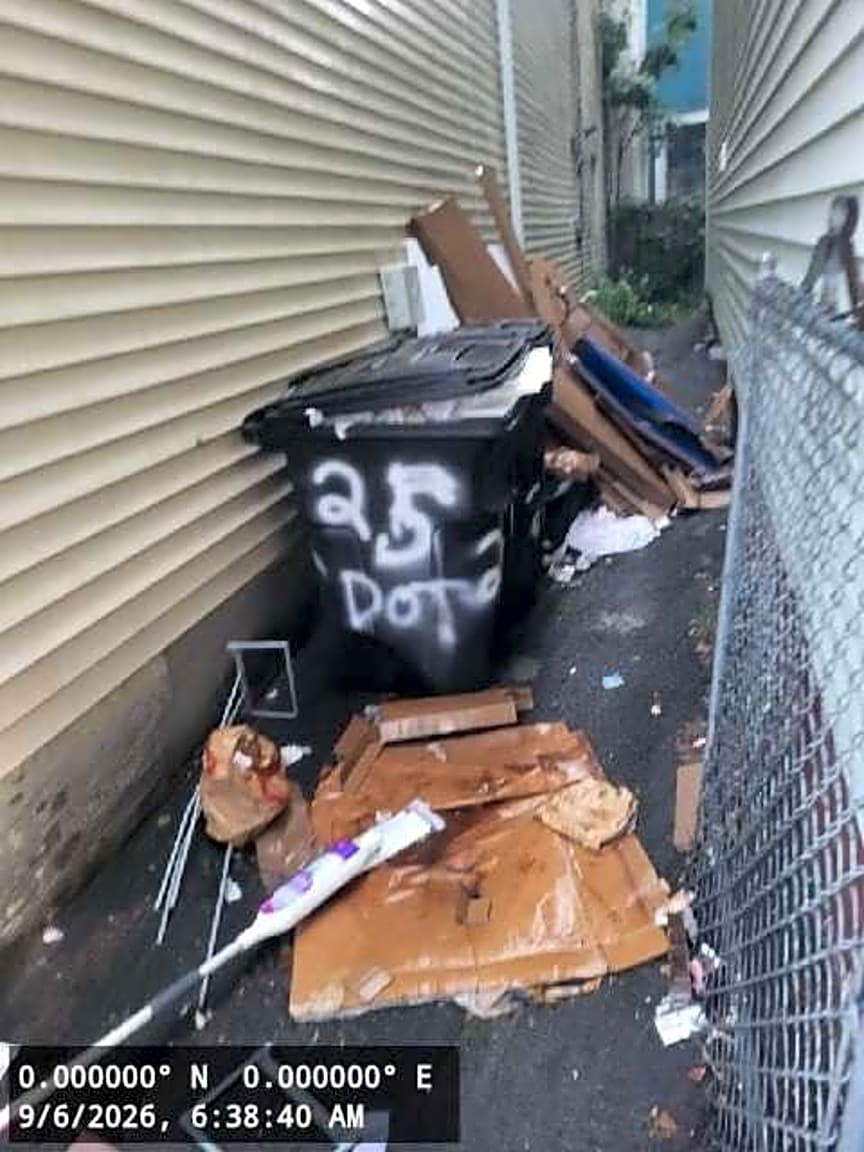 Image submitted with report