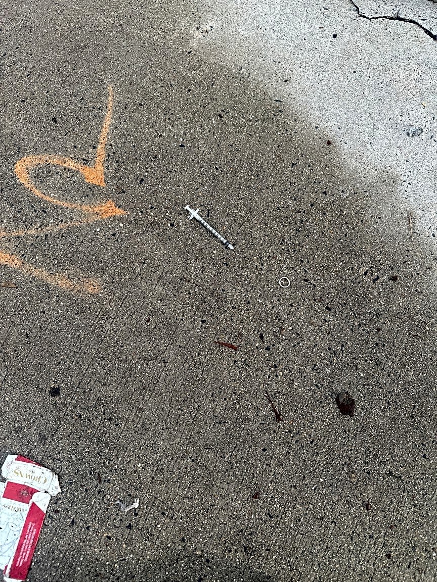 Image submitted with report