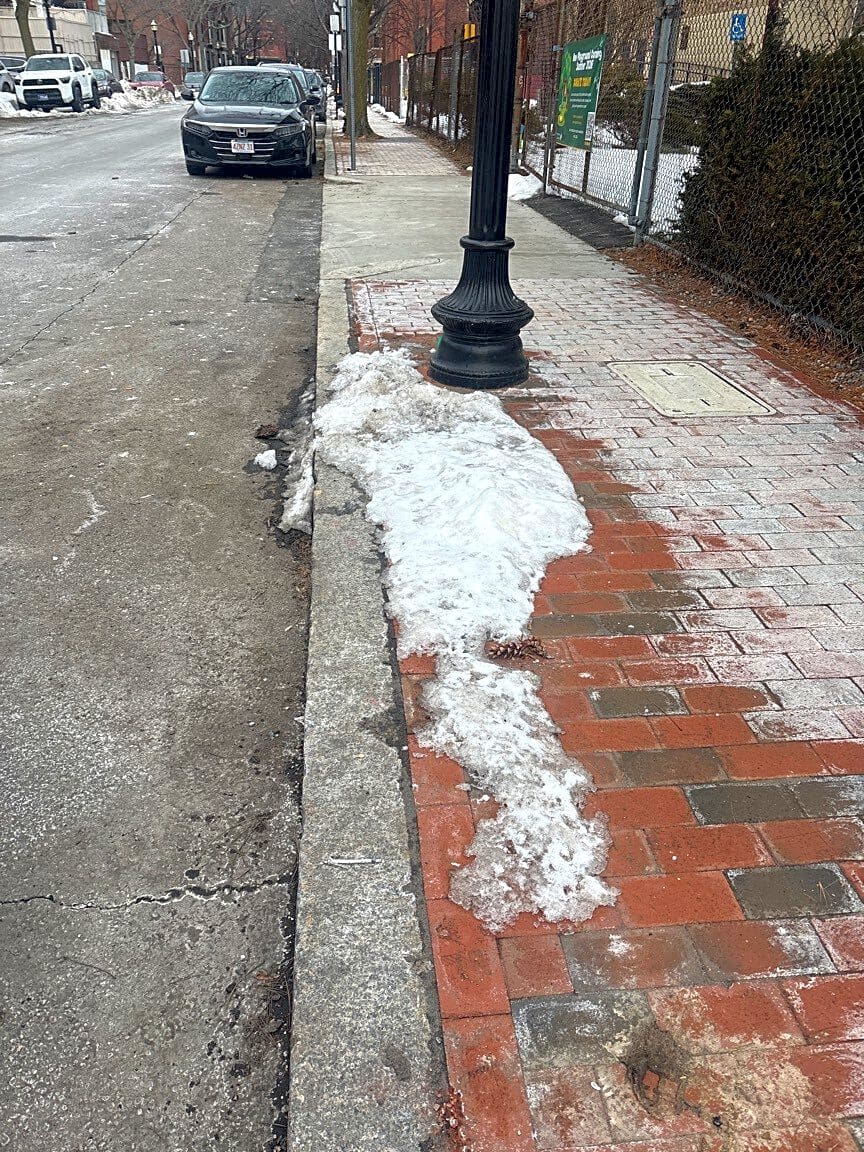 Image submitted with report