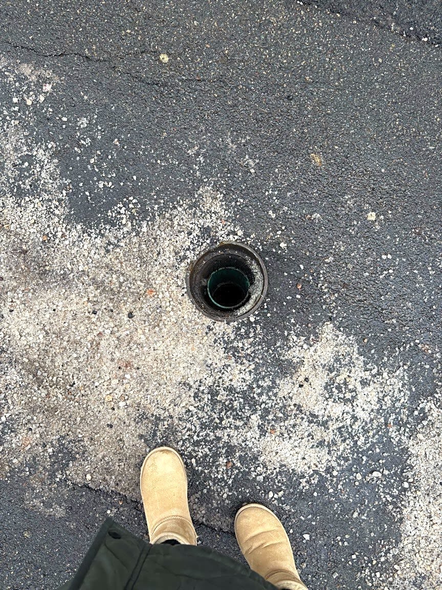 Image submitted with report