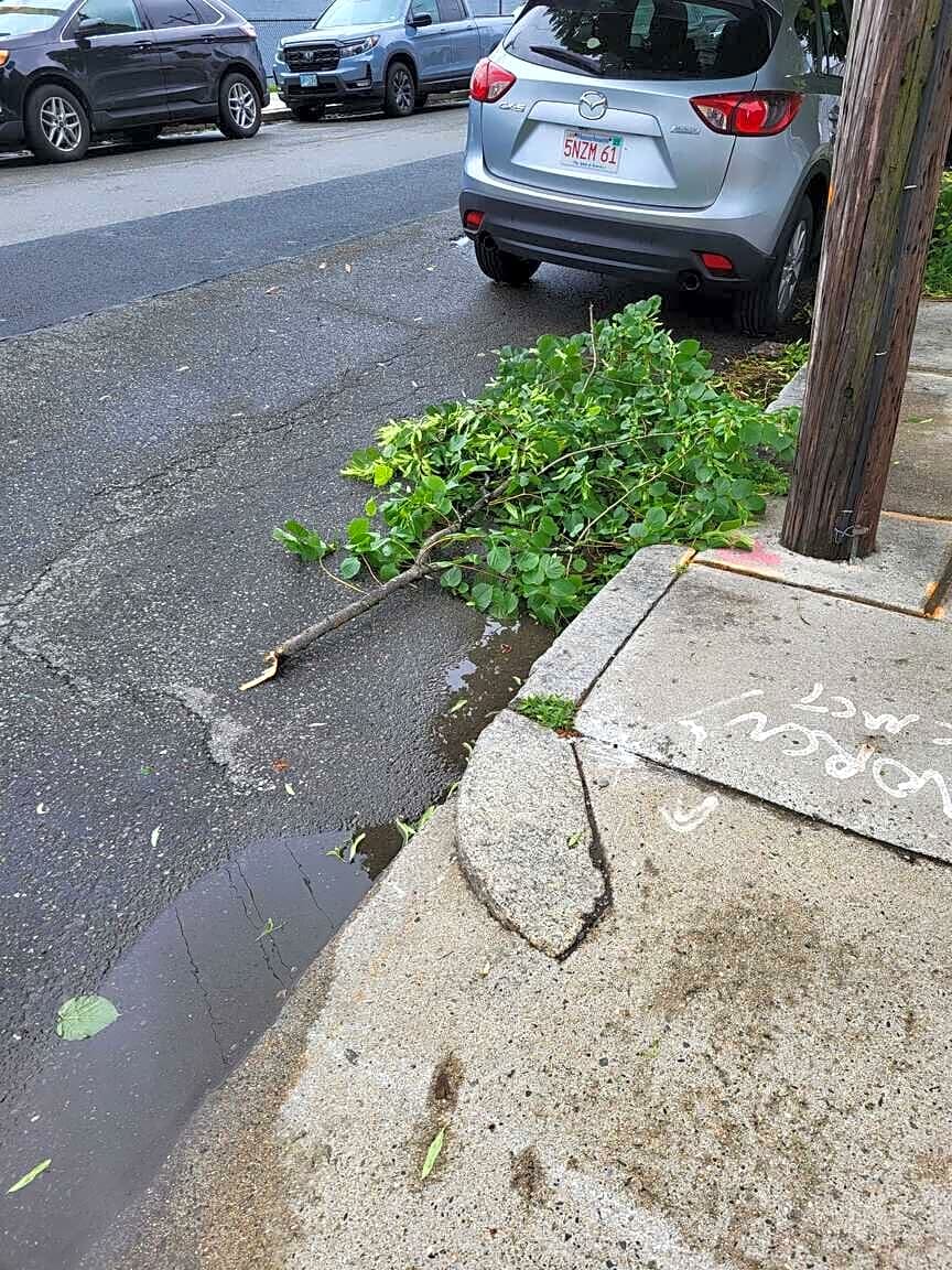 Image submitted with report