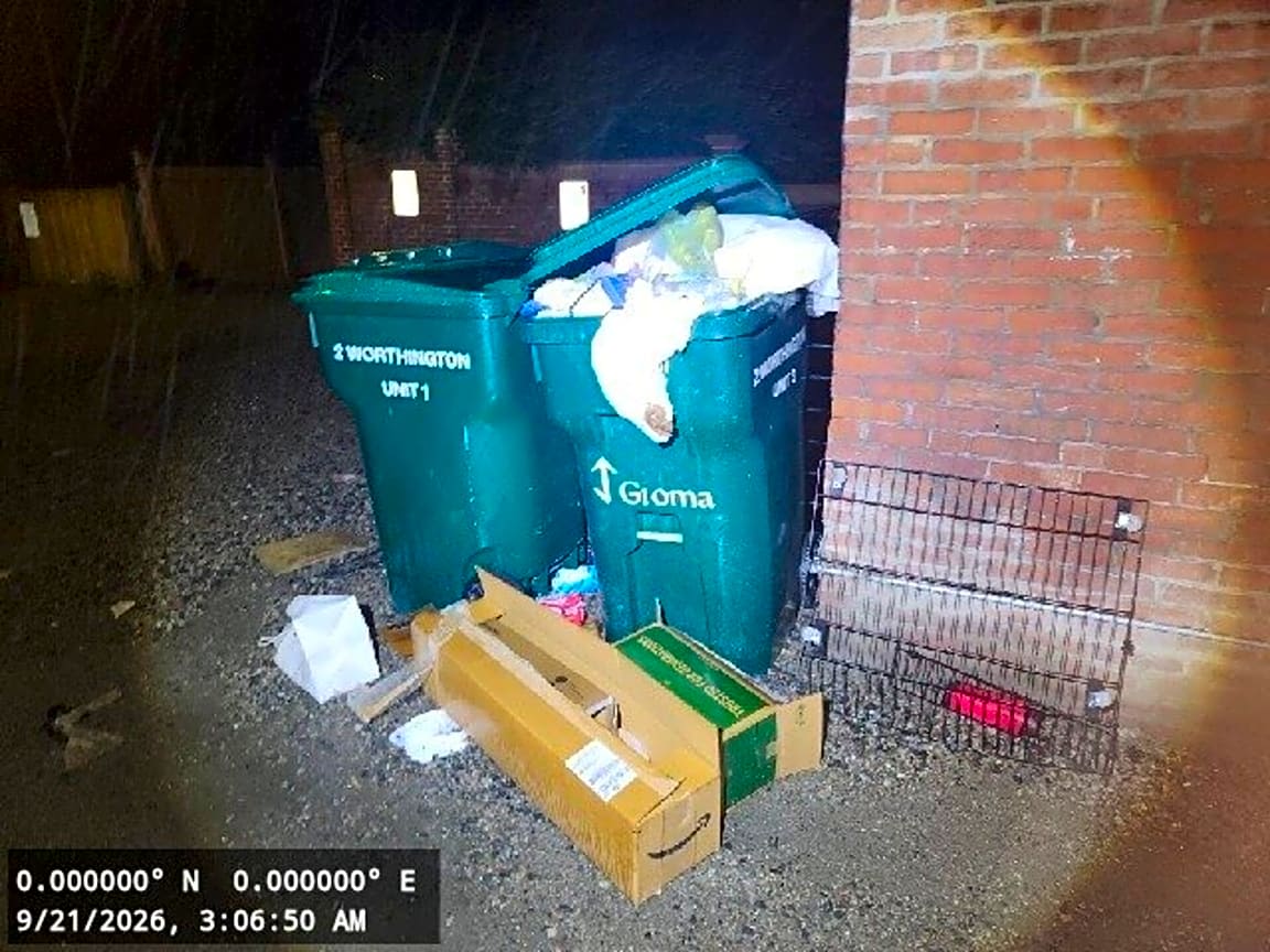 Image submitted with report