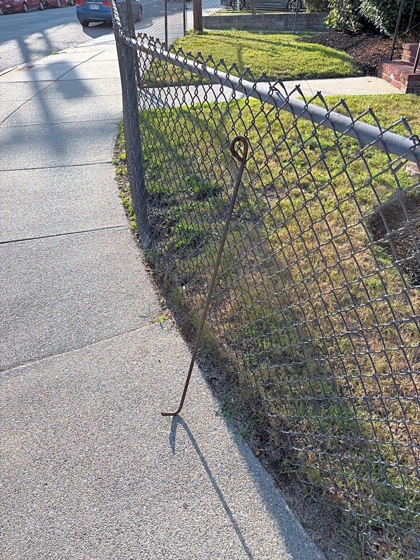 Image submitted with report