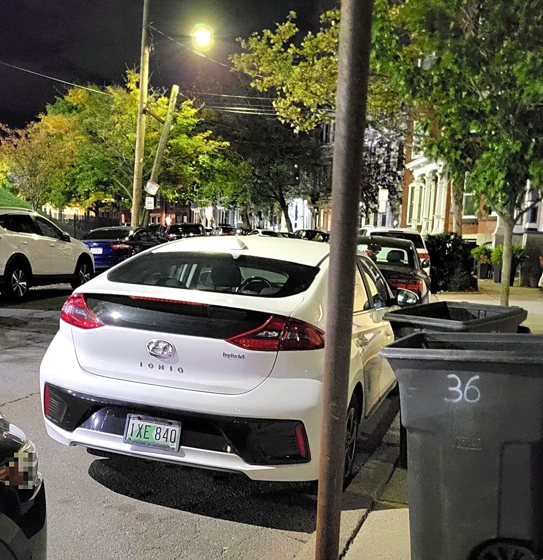 Image submitted with report