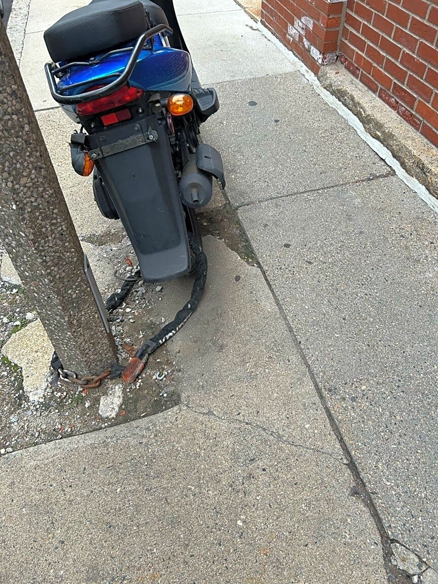 Image submitted with report