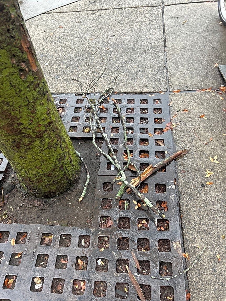 Image submitted with report