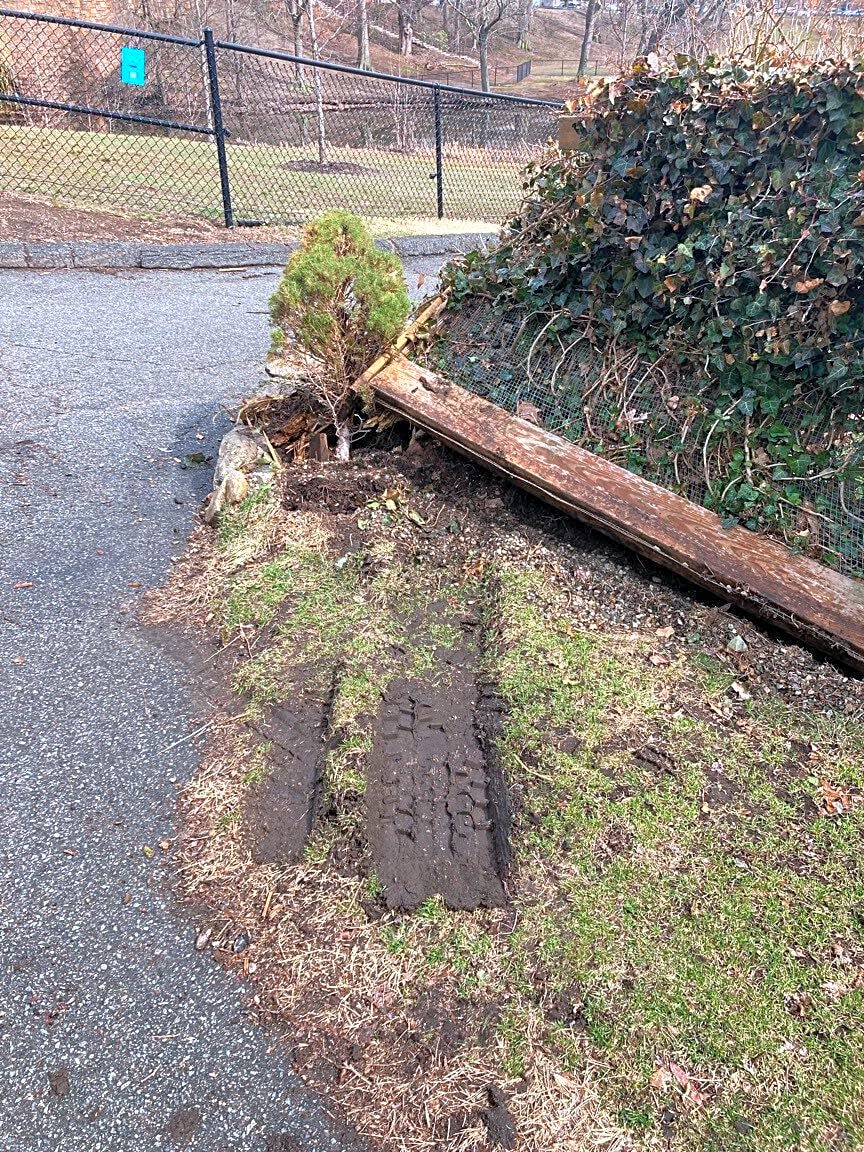 Image submitted with report