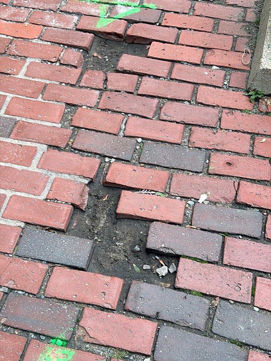 Image submitted with report