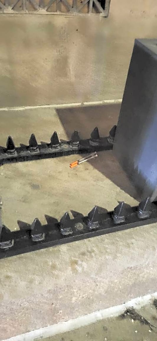 Image submitted with report