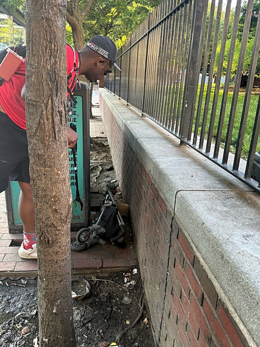 Image submitted with report