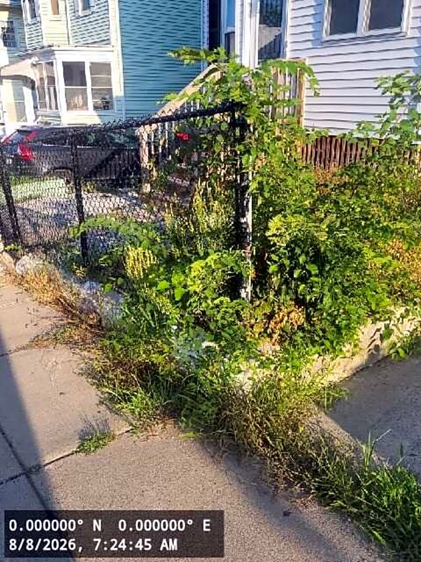 Image submitted with report