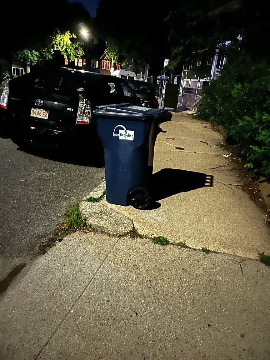 Image submitted with report