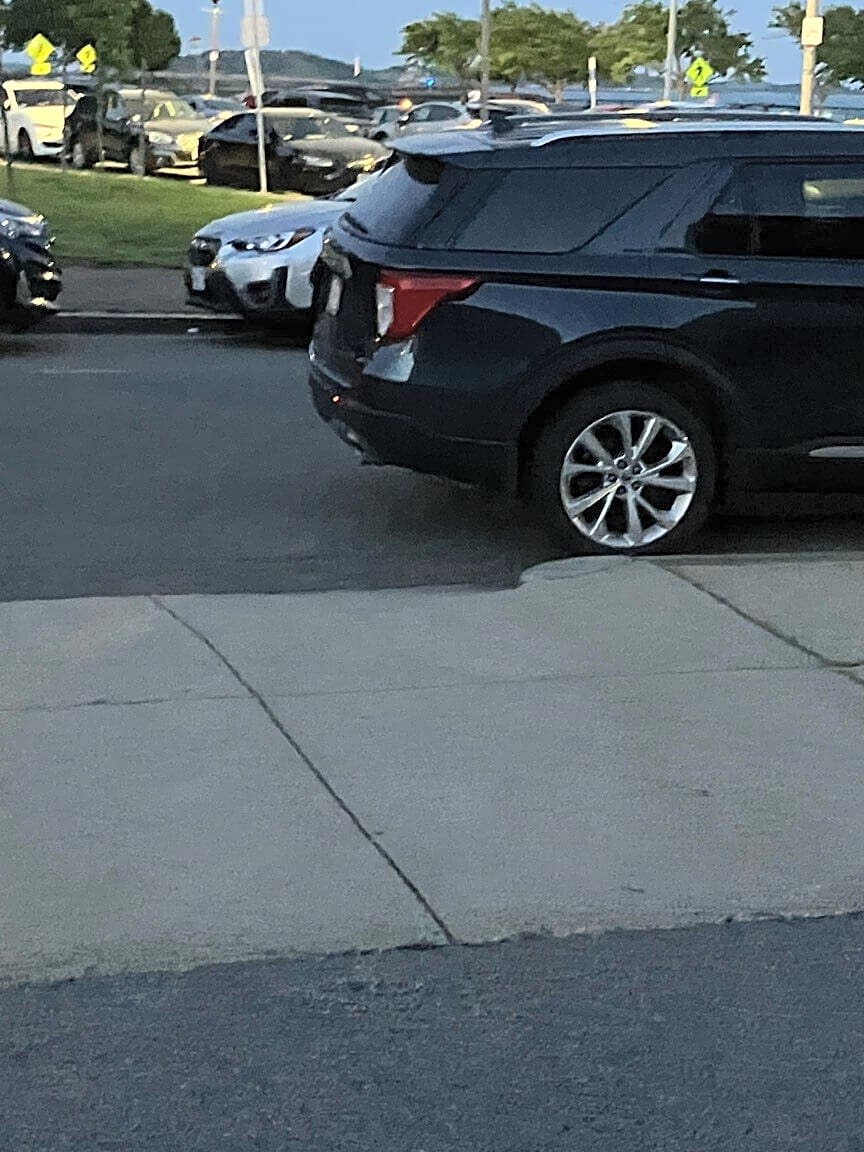 Image submitted with report
