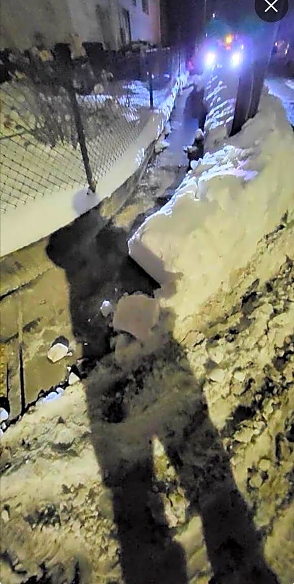 Image submitted with report