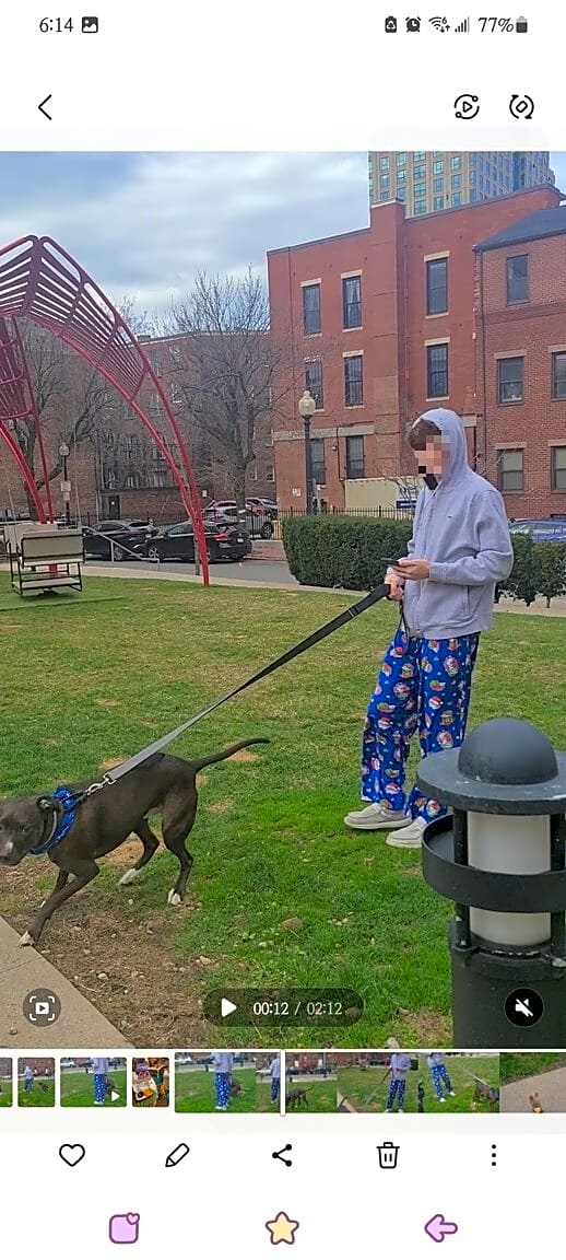 Image submitted with report